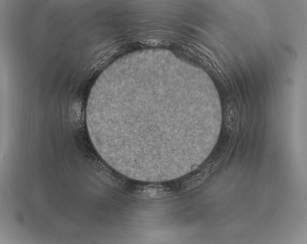 X0000115410420200912151546