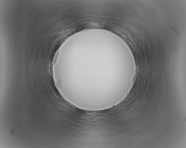 X0000115410423200912151546