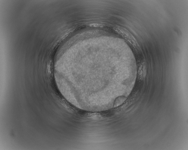 X0000115410424200912151546