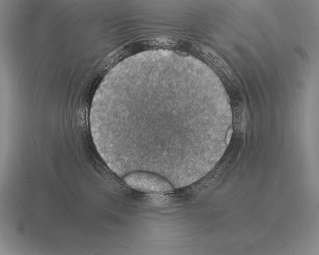 X0000115410425200912151546