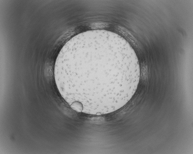 X0000115410426200912151546