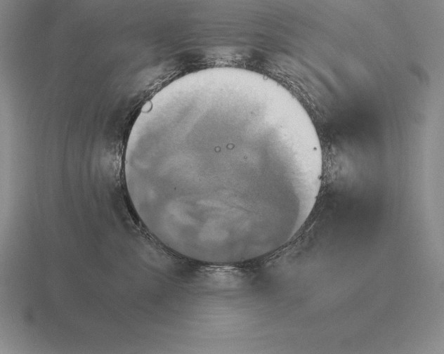 X0000115410427200912151545