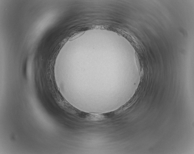 X0000115410429200912151545