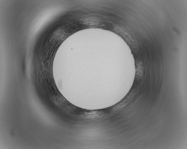 X0000115410430200912151545