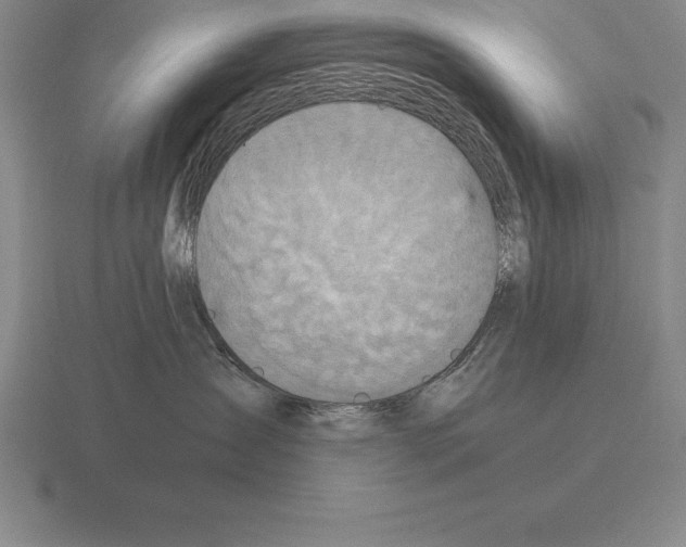 X0000115410431200912151545