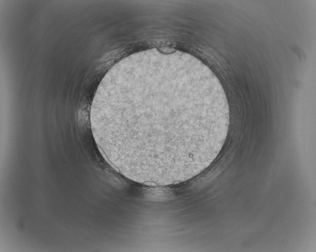 X0000115410432200912151545