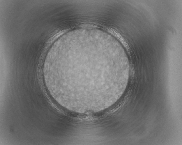 X0000115410433200912151545