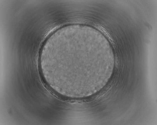 X0000115410434200912151545