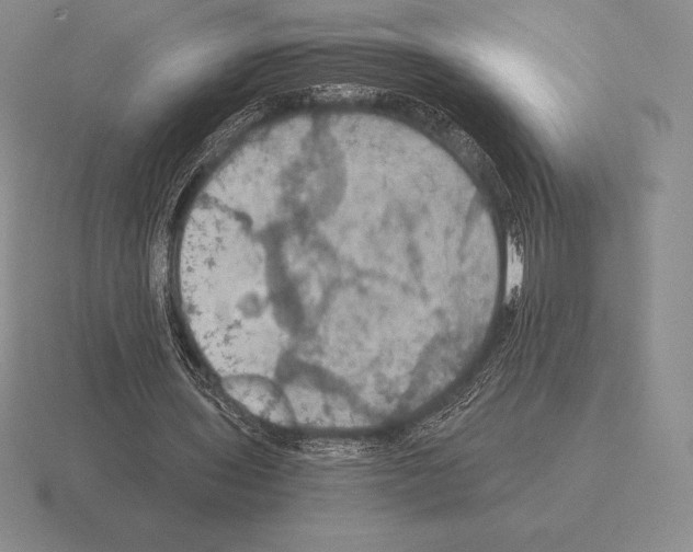 X0000115410435200912151545