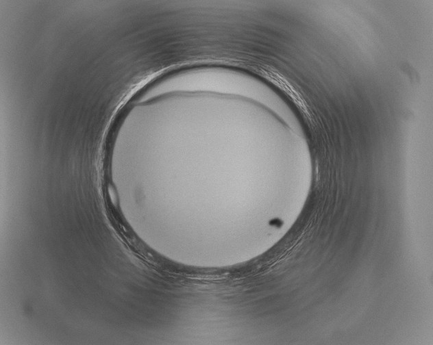 X0000115410436200912151545