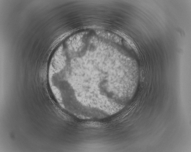 X0000115410437200912151545