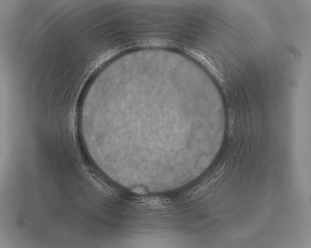 X0000115410439200912151545