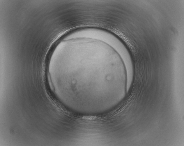 X0000115410440200912151545