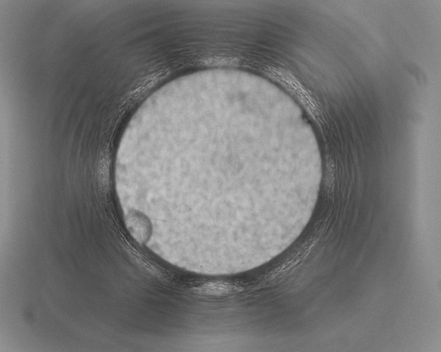 X0000115410441200912151545