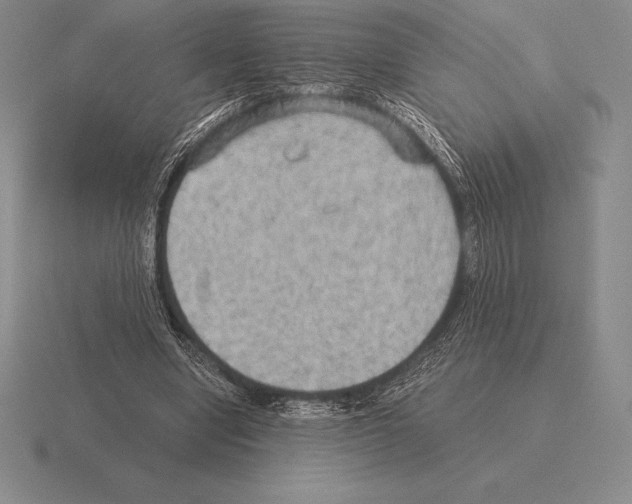 X0000115410442200912151545