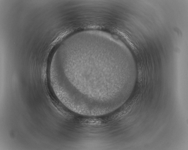 X0000115410443200912151545