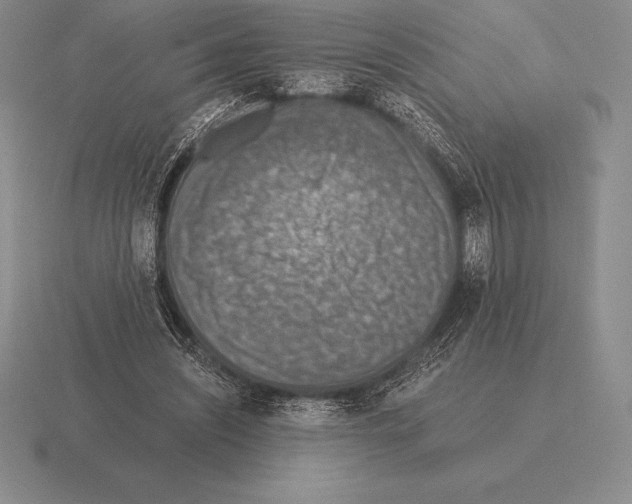 X0000115410444200912151545