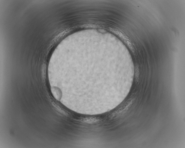 X0000115410445200912151545