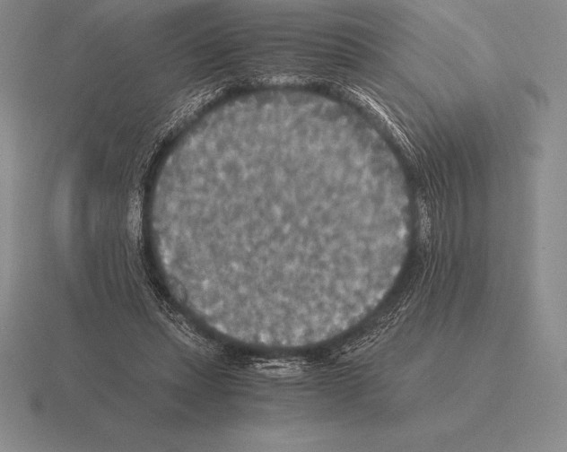 X0000115410447200912151545