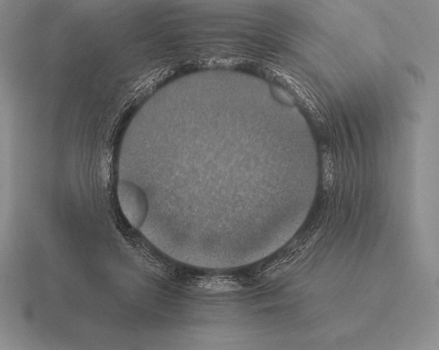 X0000115410451200912151545