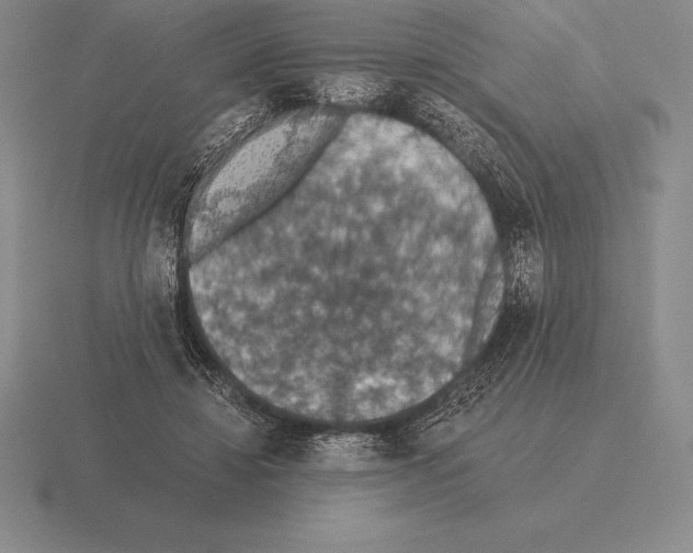 X0000115410452200912151545