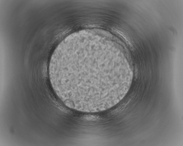 X0000115410453200912151545