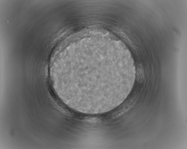 X0000115410454200912151545