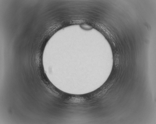 X0000115410455200912151545