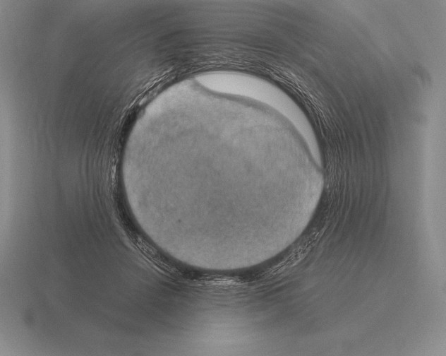 X0000115410456200912151545