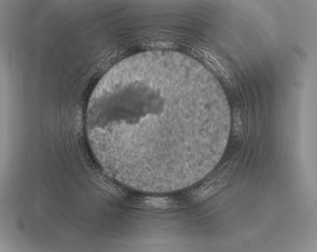 X0000115410457200912151545