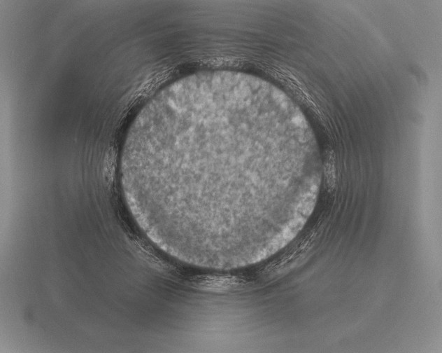 X0000115410458200912151545