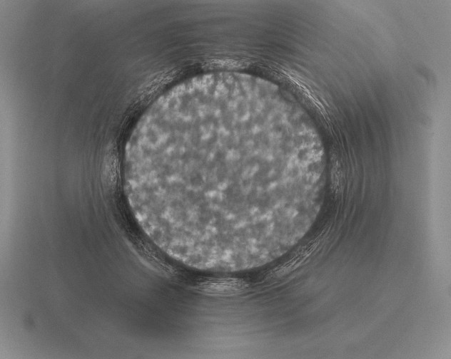 X0000115410459200912151545