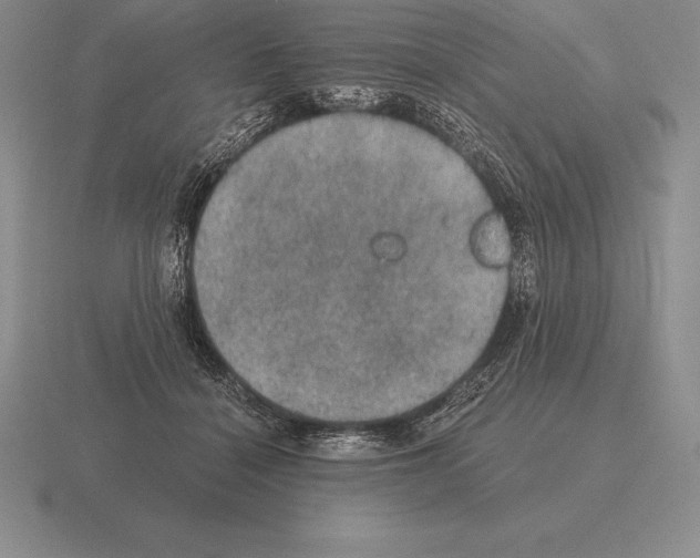 X0000115410460200912151545