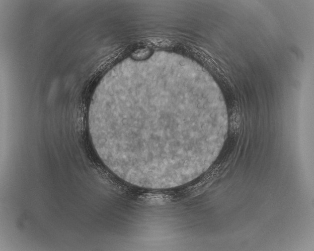 X0000115410464200912151545