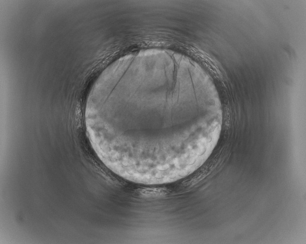 X0000115410465200912151545