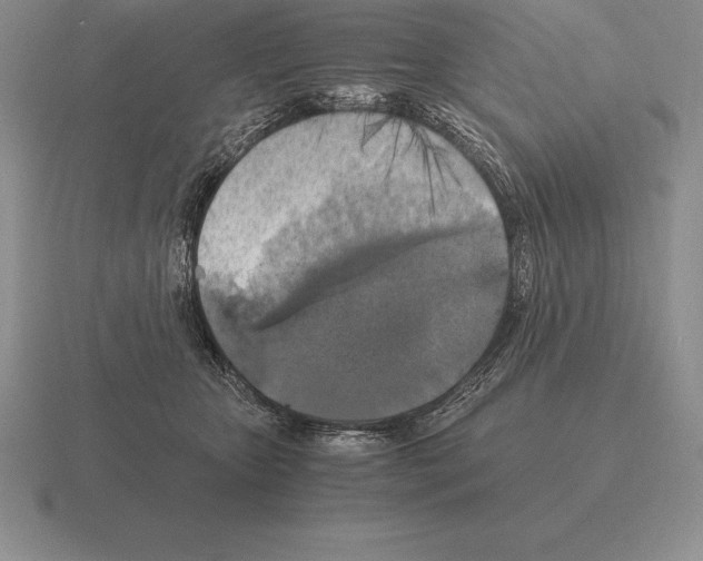 X0000115410467200912151545