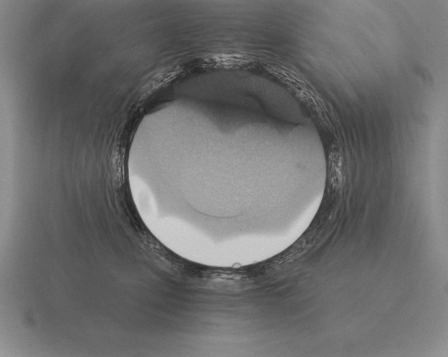 X0000115410471200912151545