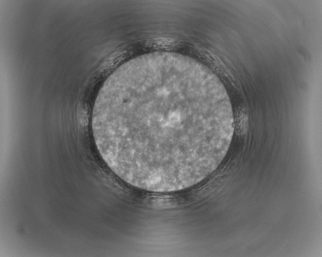 X0000115410472200912151545