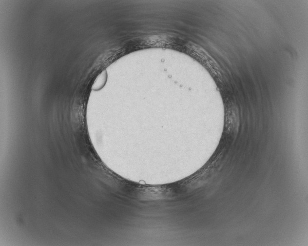 X0000115410473200912151545