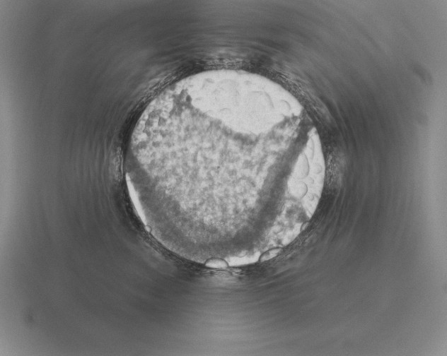 X0000115410474200912151545