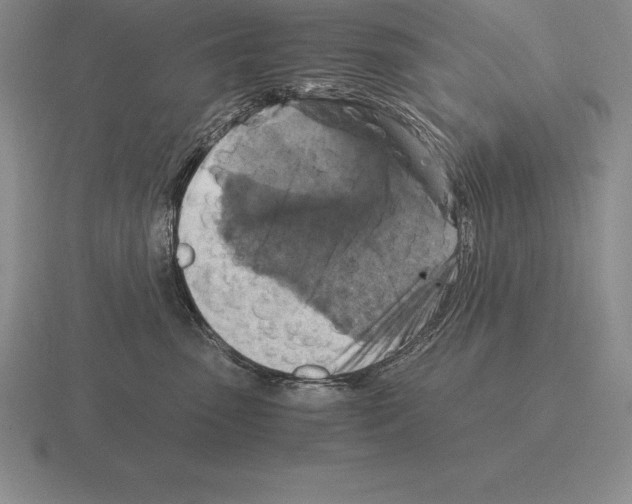 X0000115410475200912151545