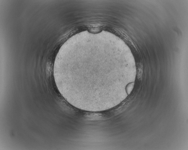 X0000115410476200912151545