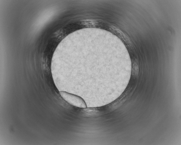 X0000115410477200912151545