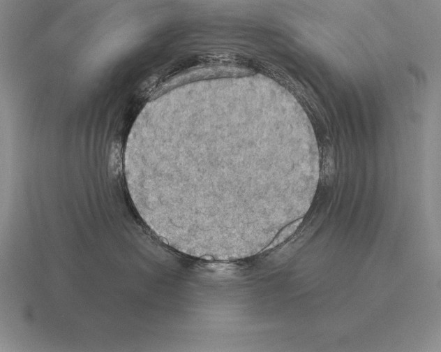 X0000115410478200912151545