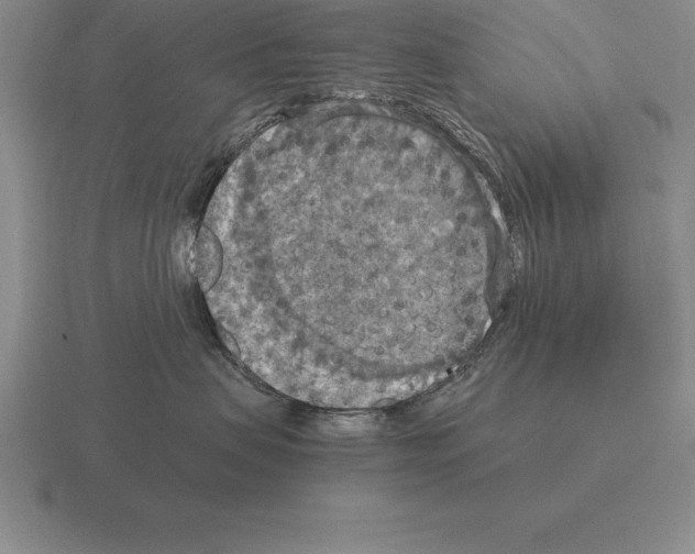 X0000115410479200912151545