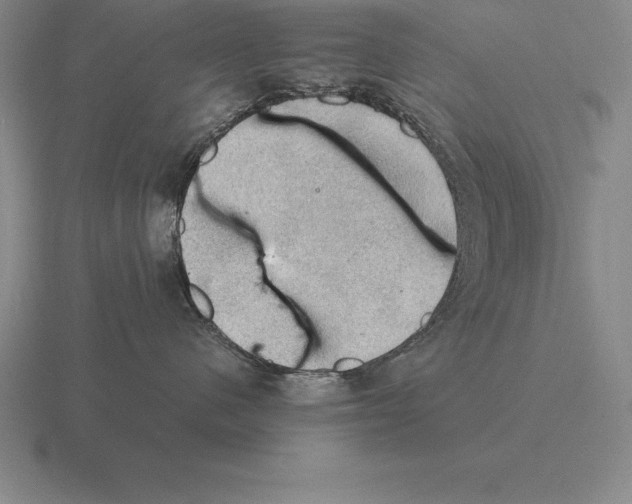 X0000115410480200912151545