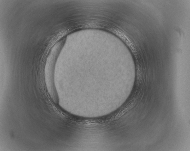 X0000115410481200912151545