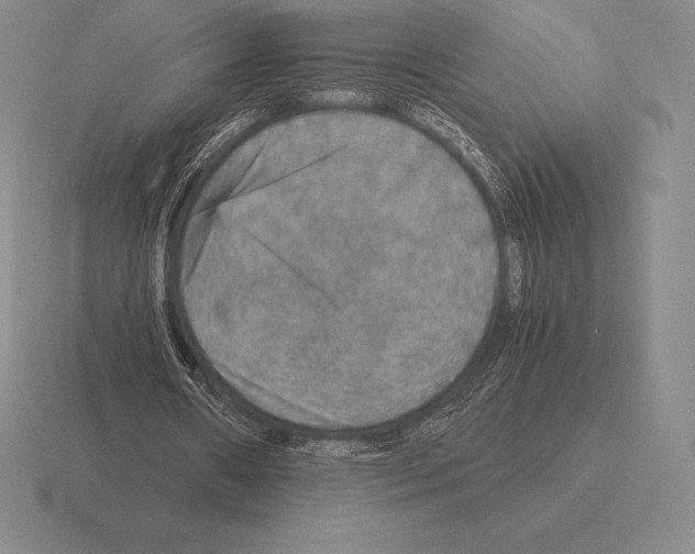 X0000115410482200912151545