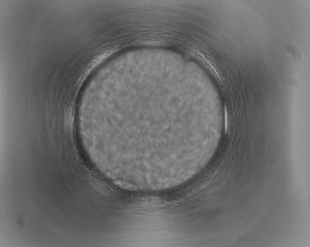 X0000115410483200912151545