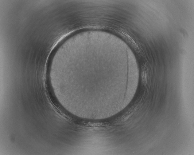 X0000115410484200912151545